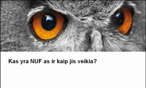 NUF-o apmokestinimas Norvegijoje